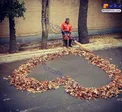 عكس/ هنرنمايی عاشقانه پاييزی يک رفتگر