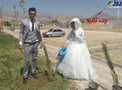 کاشت نهال، سنتی زیبا به جای عروسی