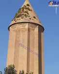رویش علف هرز روی یک اثر جهانی +عکس