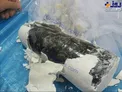 عکس/ کشف تریاک کله قندی در فرودگاه امام (ره)!