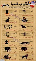 قاتلان عجیب و بزرگ دنیا را بشناسید