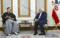 پوشش جالب سفیر جدید ژاپن در دیدار با ظریف+عکس