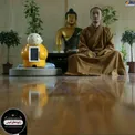 ربات پول جمع کن در یک معبد+عکس