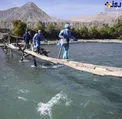عبور پرستاران از مناطق صعب العبور برای تزریق واکسن/عکس