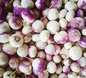 قند خونتان را با این اکسیر گیاهی کاهش دهید