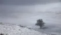 هواشناسی: برف در ارتفاعات تهران/ بارندگی ادامه دارد