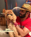 گربه بامزه و شیک بازیگر مشهور+عکس