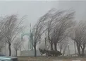 هشدار هواشناسی/۱۲ استان کشور درگیر باد، گرد و خاک و کاهش دید افقی! +جزئیات