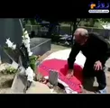 بی‌قراری پدربزرگ رومینا کنار قبر نوه‌اش/عکس