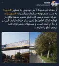 از حذف نام شهید تا بی توجهی به تصاویر شهدا +عکس