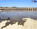 زاینده رود زنده شد! +عکس