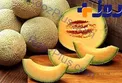 تشخیص طالبی شیرین با این ترفند