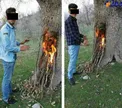 زشت ترین عکس یادگاری ۲ جوان در روز طبیعت