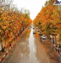 عکس/ رنگ پاییزی بلوار طاق بستان