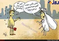 کاریکاتور/ مگس های سفید در تهران