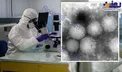 عکس/ ظهور ویروسی جدید در ژاپن