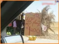به کوری چشم ترامپ، هندوانه کیلویی هزار/عکس