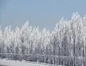 سردترين نقطه ايران با دمای ٣٠ درجه زير صفر