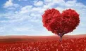 آقایان عاشق این خصوصیات در زنان هستند