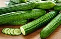 خیار و معجزاتی که در بدن به وجود می آورد