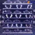 داخل يك كشتى بردگان آفريقایی+عکس