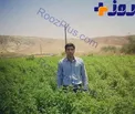 ماجرای جوانی که علم را به ثروت تبدیل کرد