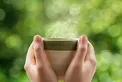 ۱۰ نوع چای برای کاهش وزن و چربی سوزی