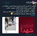 نتیجه روشنفکری سلبریتی‌ها +عکس