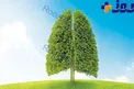 این 10 گیاه خانگی هوا را برای شما تصفیه می کنند