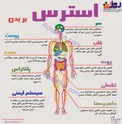 اینفوگرافیک/ استرس چه بلایی بر سر بدن می‌آورد؟