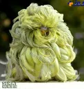 زیباترین و عجیب ترین مرغ عشق دنیا+عکس