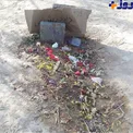 مزار داوود رشيدي چند روز پس از مرگ+عكس