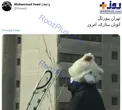 صحنه ای عجیب از خرس موتورسوار در اتوبان ستاری+عکس
