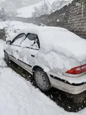 عکس/ بارش برف سنگین از نوع بهاری
