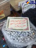بدون شرح /انسانيت ...