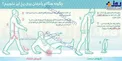 چگونه روی زمین یخ زده راه برویم تا لیز نخوریم؟+عکس