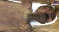 مومیایی عجیب شاهزاده فریادزن مصر+عکس