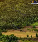زمین فوتبال رویایی در مازندران+عکس