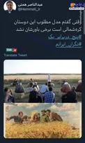 بی‌ سوادی همتی کار دستش داد!+عکس