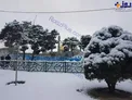 عکس/ نمایی زیبا از حرم حضرت معصومه(س) در روز برفی